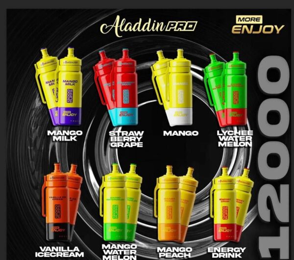 ALADDIN PRO 12,000 PUFFS