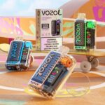 VOZOL VISTA 20000 Puffs