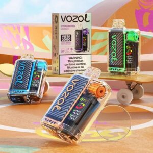 VOZOL VISTA 20000 Puffs