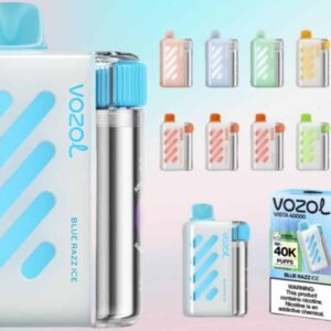 VOZOL VISTA 40000 Puffs